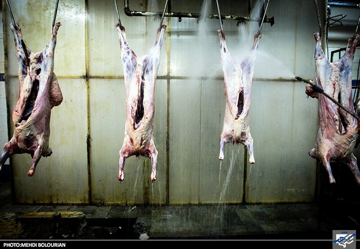 پس از سال‌ها ممنوعیت ناظران بهداشتی جمهوری اسلامی به کشورهای صادرکننده گوشت به ایران اعزام می‌شوند