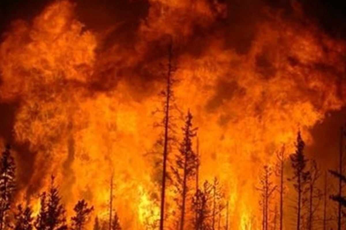 گرما، جنگل‌های استان هاتایِ ترکیه را به آتش کشید + فیلم