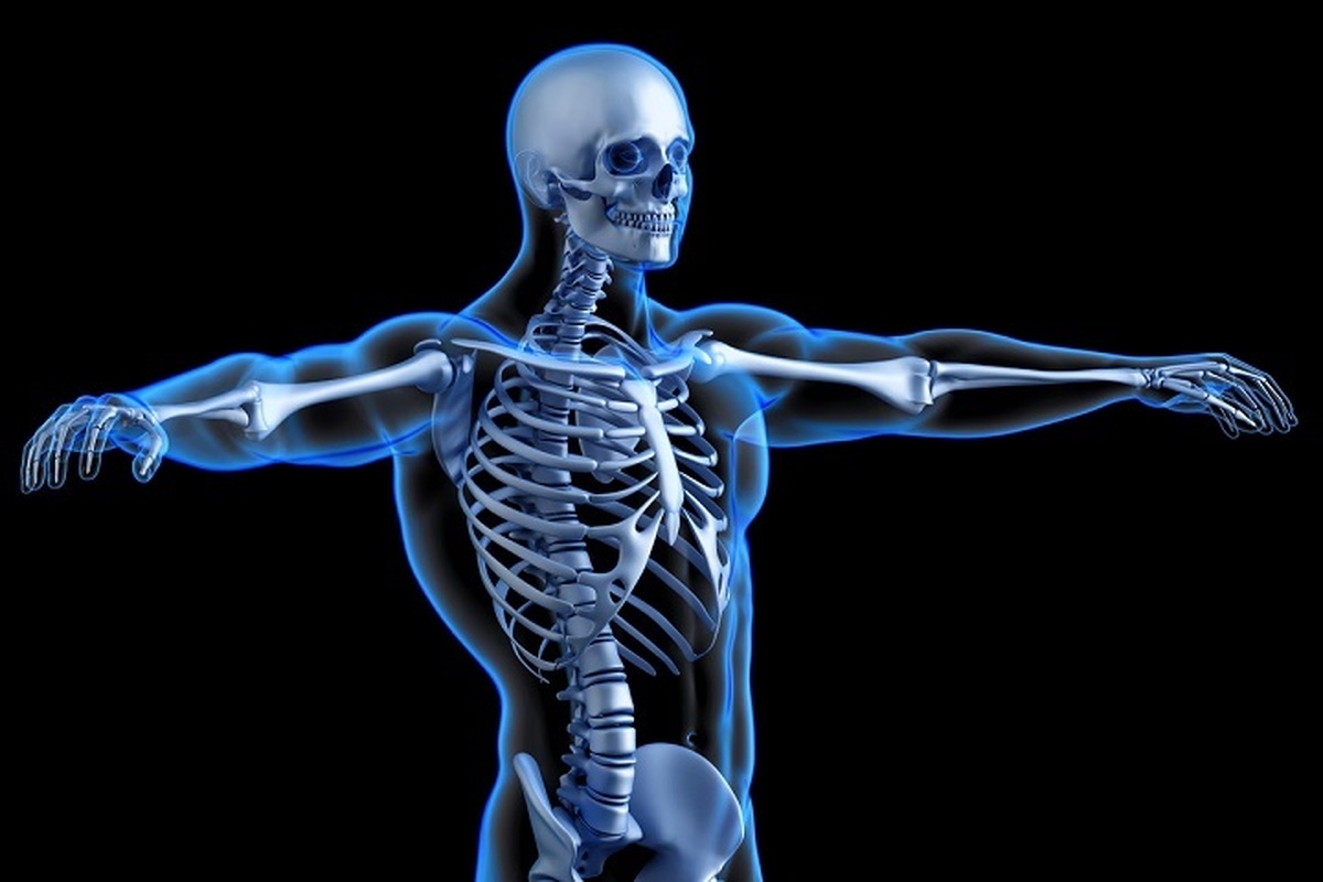 اینفوگرافی| راهکارهای سلامتی تغذیه‌ای برای حفظ سلامت استخوان‌ها