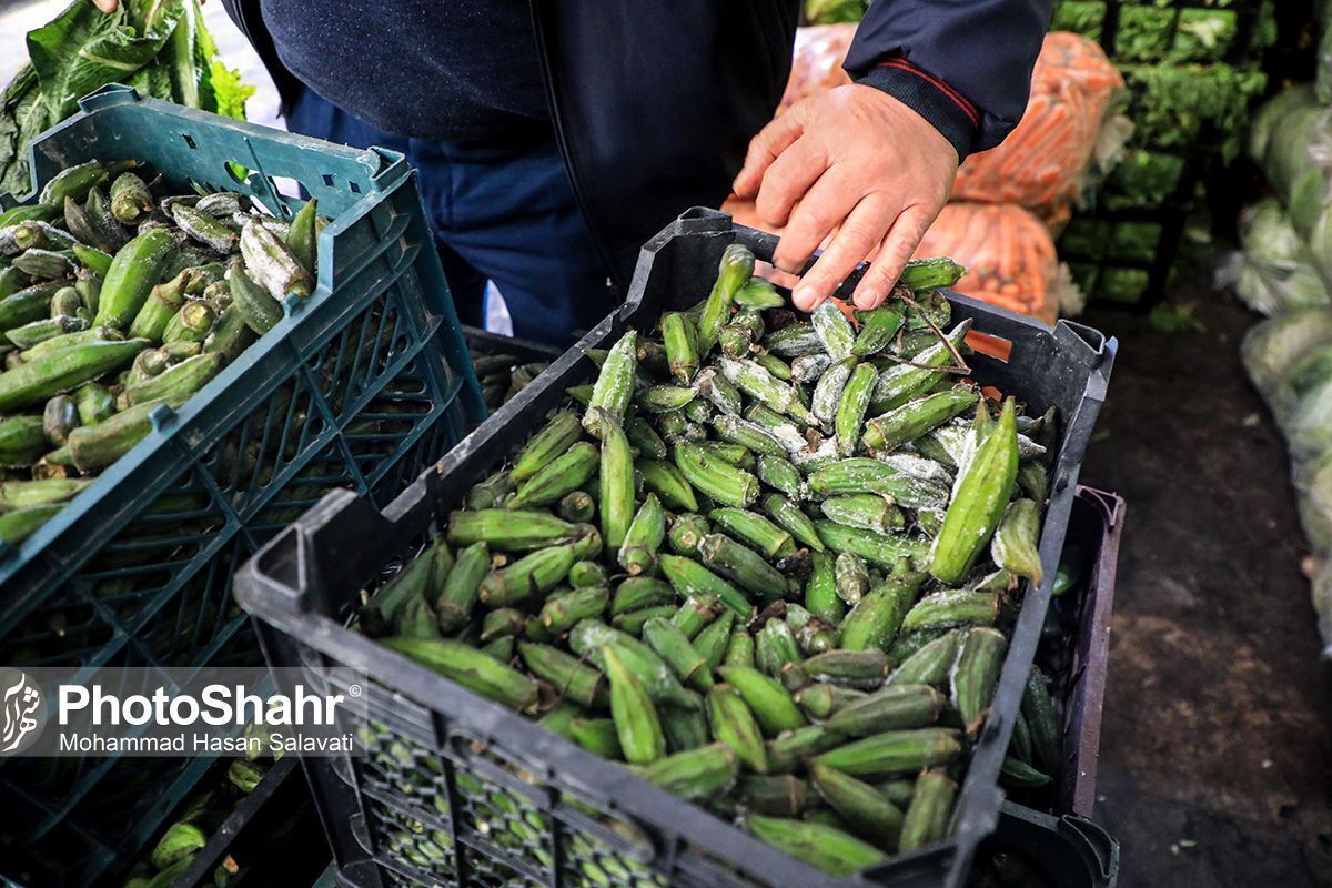 شهرداری مشهد به دنبال مدلی برای فروش میوه و سبزیجات با قیمتی کمتر از میادین عرضه میوه و تره بار است