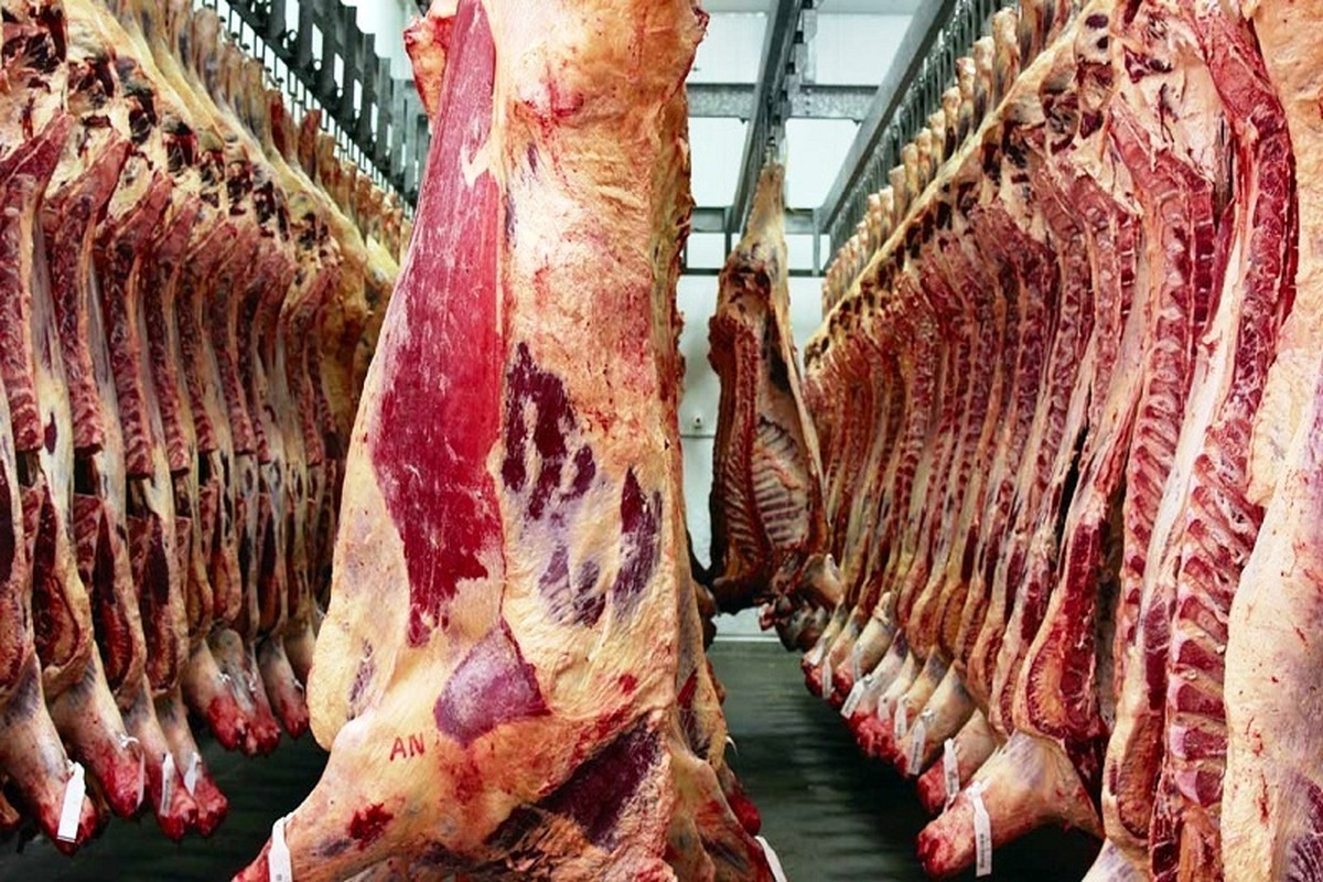 ماجرای گوشت‌های برزیلی چیست؟ | تاخیر در ترخیص گوشت‌های برزیلی خبرساز شد