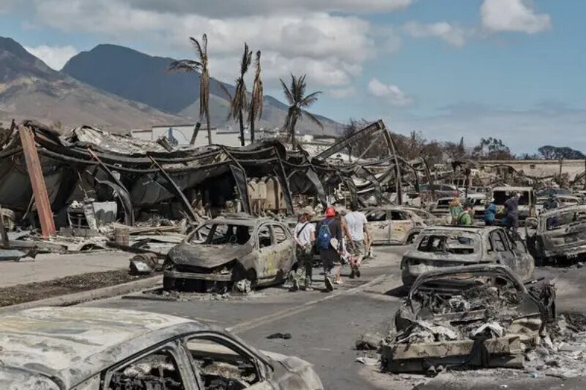 ویدئو| آسیب های ناشی از آتش سوزی در جنگل‌های هاوایی