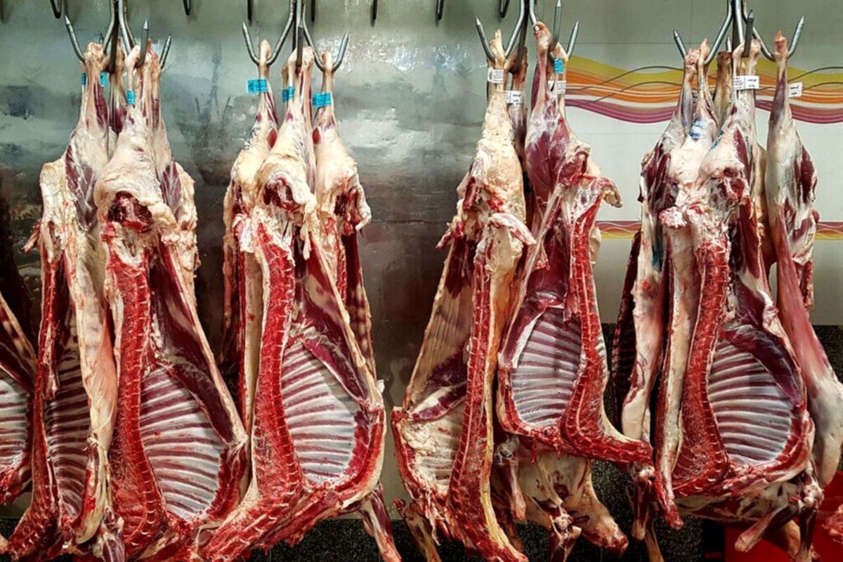 توزیع ۱۰۰ تن گوشت قرمز سهمیه هیئت‌های عزاداری در مشهد