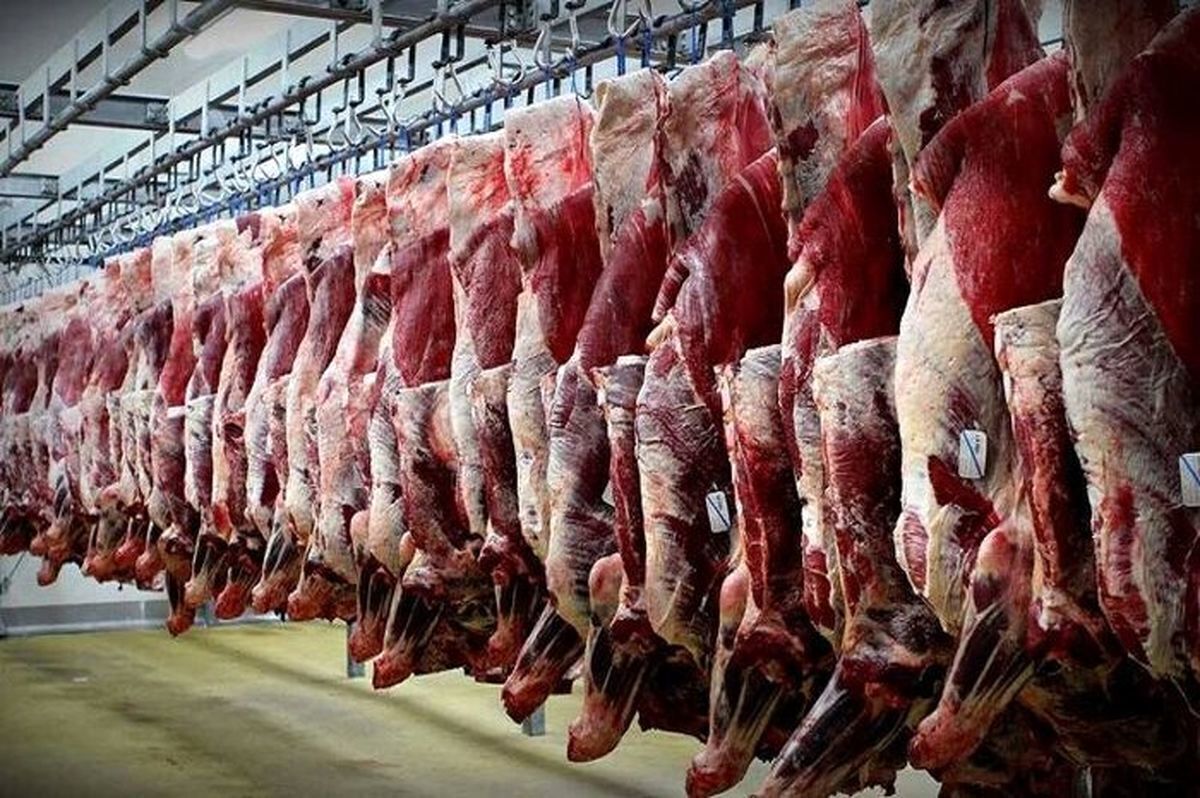 قیمت گوشت‌ تنظیم بازار وارداتی اعلام شد