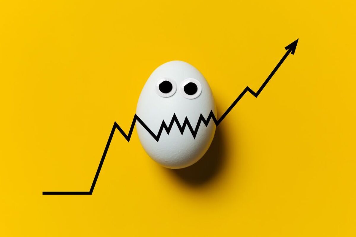 «قیمت تخم‌مرغ کم است» | اعلام نرخ جدید در هفته آینده