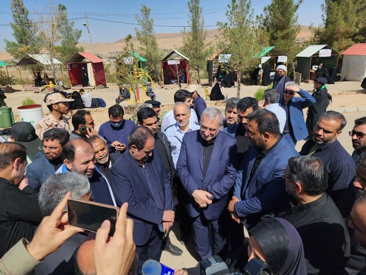 وزیر بهداشت در مشهد: ۳ هزار کادر درمانی در مسیر پیاده‌روی زائران امام رضا (ع) مستقر هستند