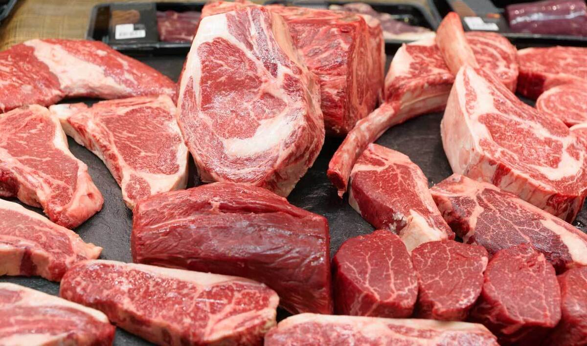 سالانه ۱۰۰ تن گوشت شتر در خراسان رضوی تولید می‌شود