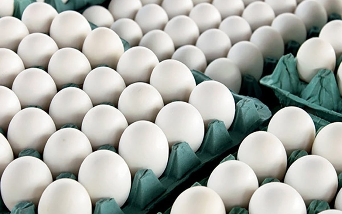 در۶ ماهه نخست امسال، ۹۰ هزار تن تخم مرغ در کشور صادر شده است