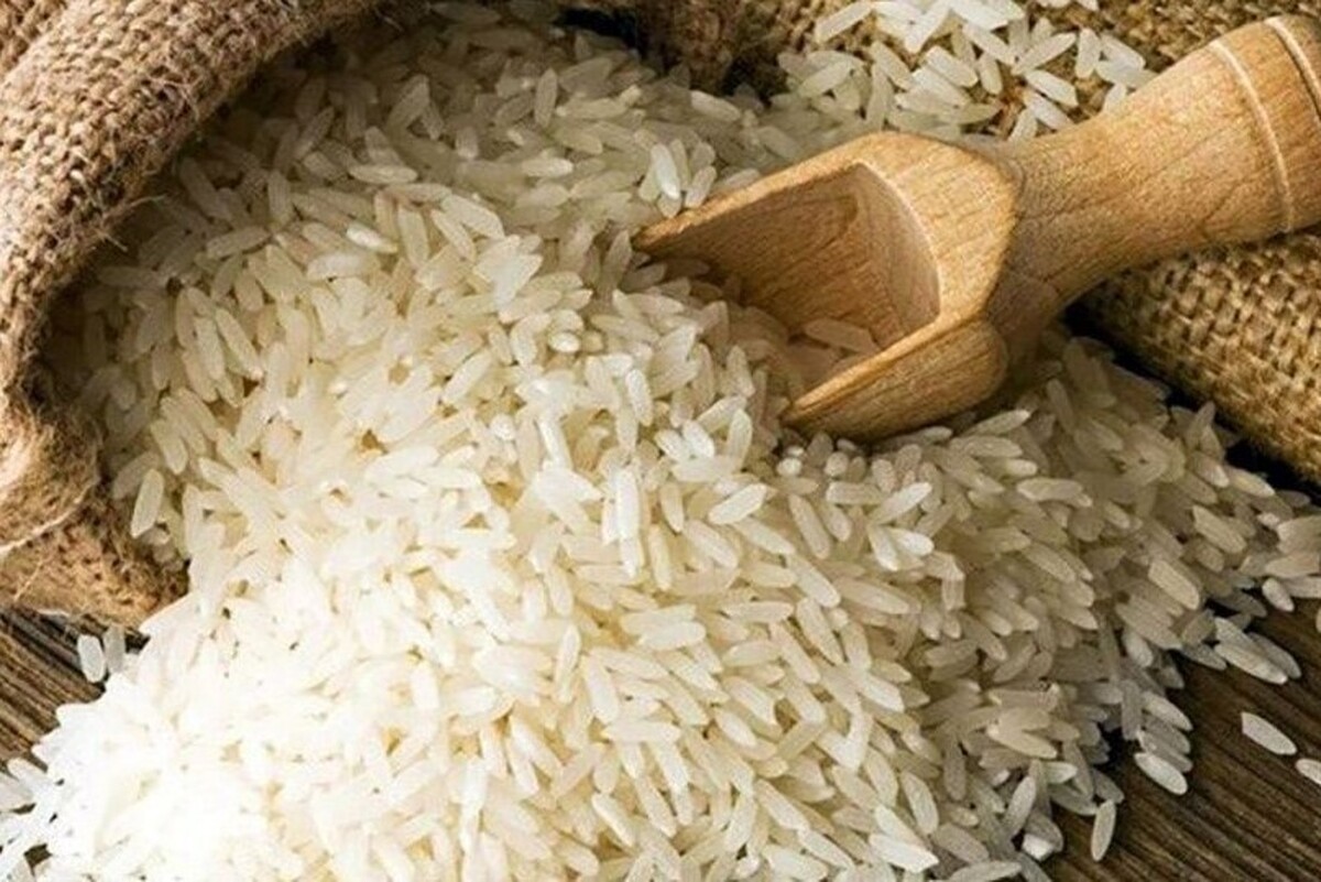 واردات و توزیع برنج خارجی ممنوع می‌شود؟
