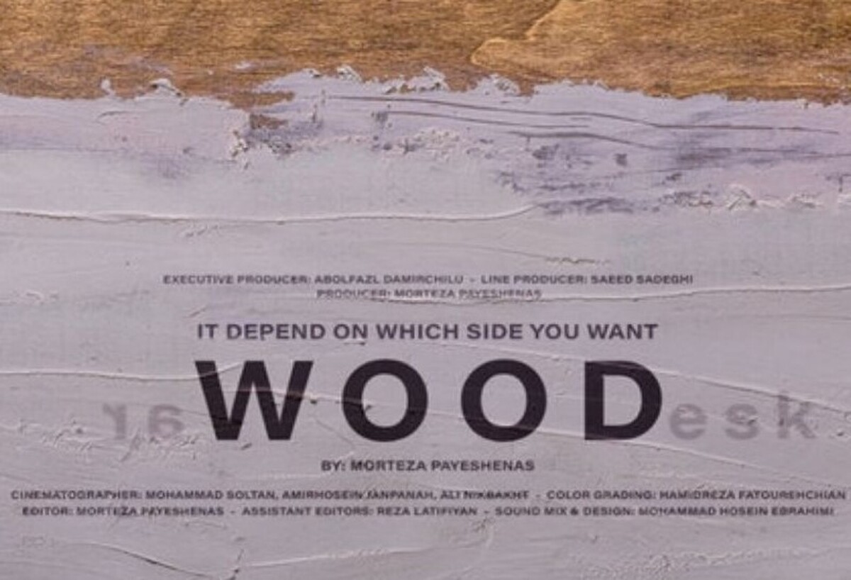 مستند چوب از جشنواره «لمپا» جایزه گرفت