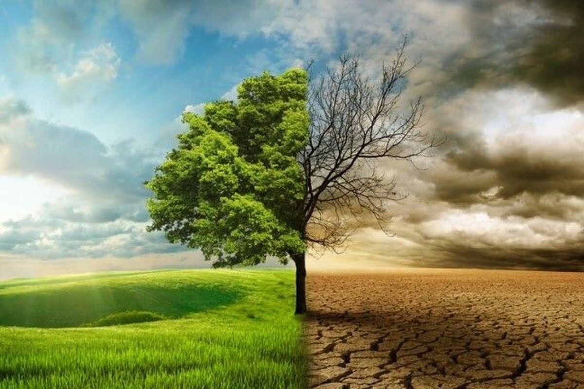 معاون‌ جهادکشاورزی خراسان رضوی: کمبود آب و تغییر اقلیم ۲مشکل عمده در بخش کشاورزی است