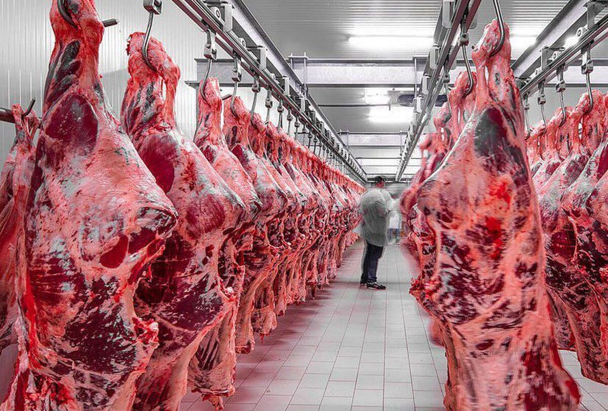 واردات، قیمت گوشت را به ۳۱۰ تا ۳۶۰ هزار تومان می‌رساند