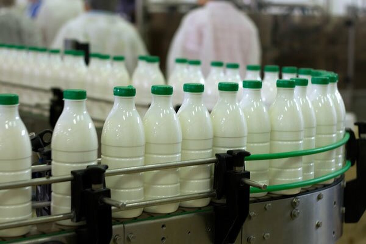 ۶۰۰ هزار تن شیر در خراسان رضوی تولید شد