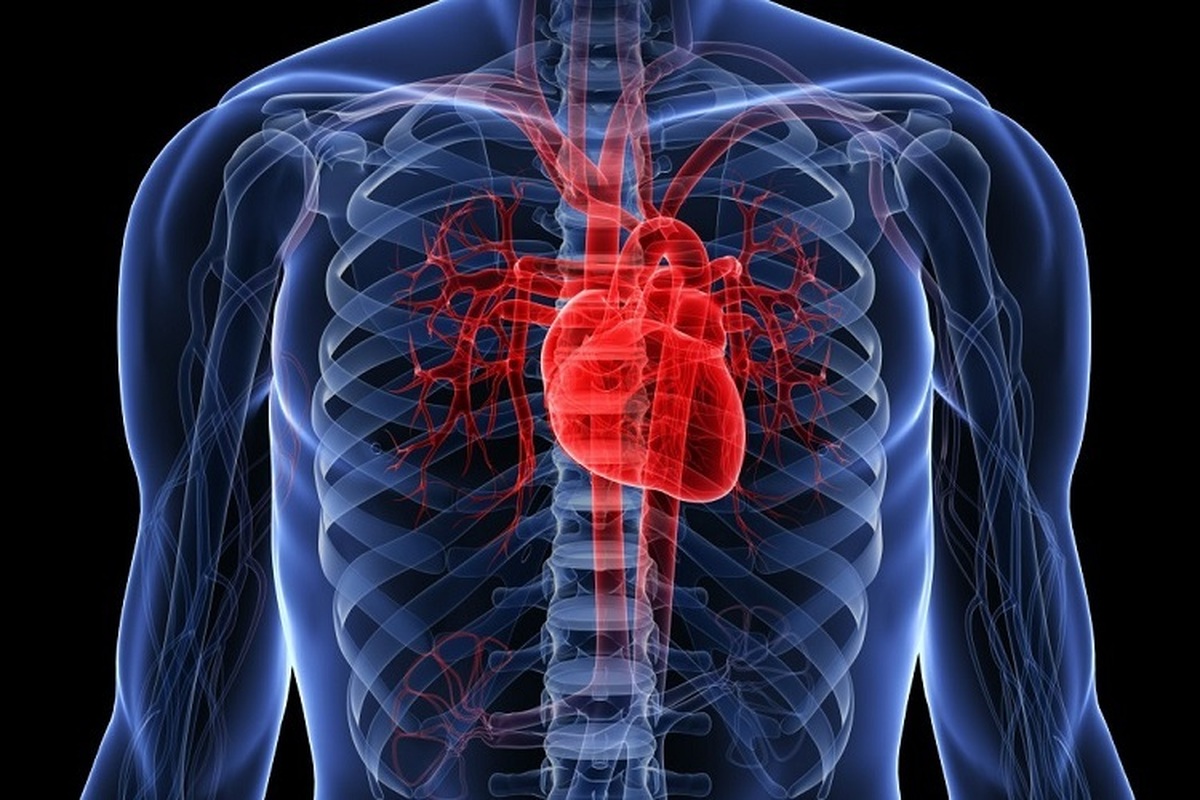 علت بیش از ۳۲ درصد مرگ‌ومیر در دنیا، ابتلاء به بیماری‌های قلبی است