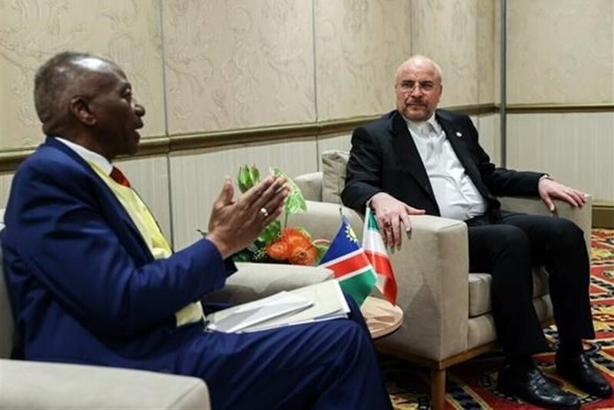 دیدار نمایندگان مجلس آفریقای جنوبی با رئیس مجلس شوارای اسلامی