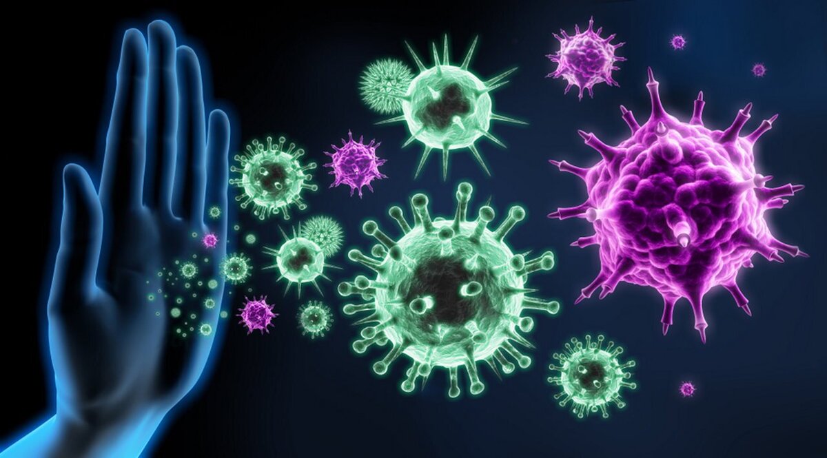 انیمیشن| فعالیت ۲۴ ساعته سلول‌ های ایمنی بدن در حال مبارزه و شکار باکتری‌ها