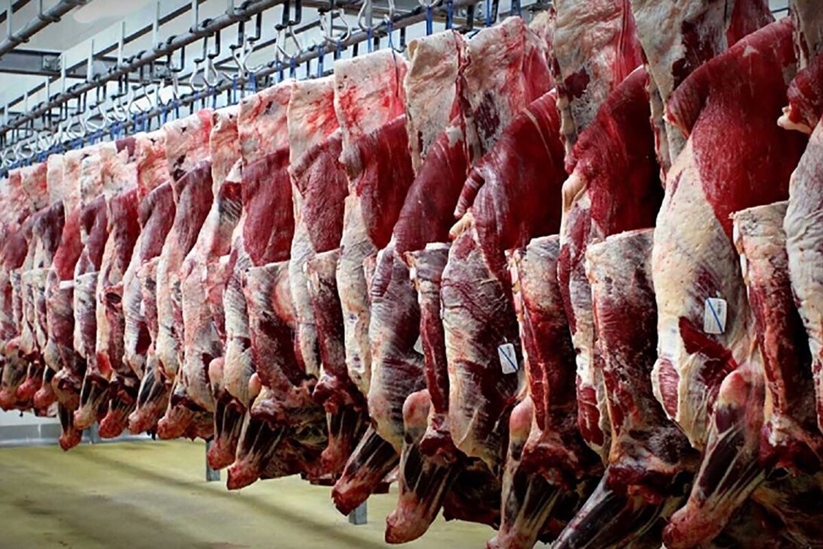 «خراسان رضوی» همچنان دارنده رتبه اول کشور در تولید گوشت قرمز
