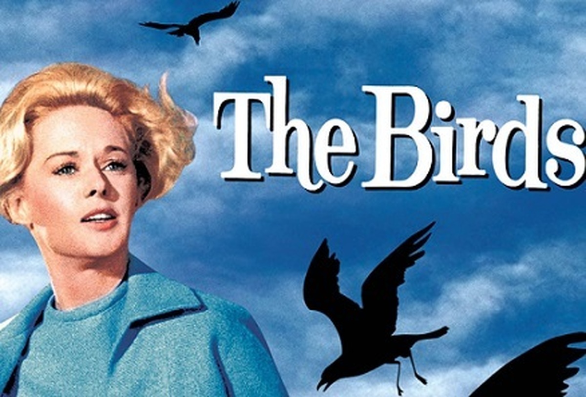 «پرندگان» هیچکاک در شبکه نمایش خانگی