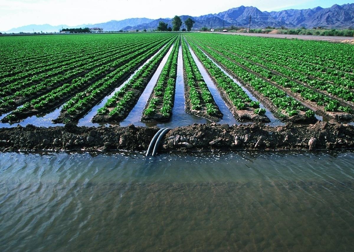 مصرف ۹۰ درصد آب کشور در بخش کشاورزی