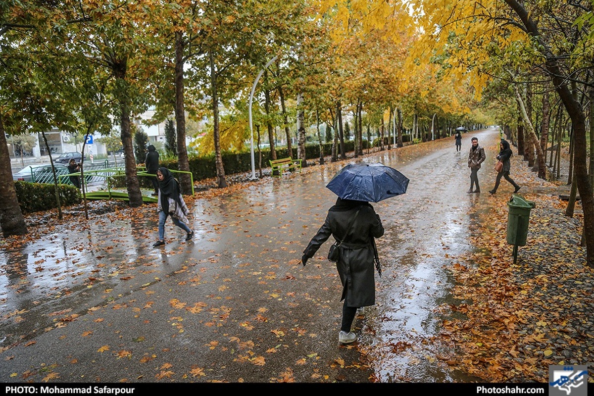 وزش باد شدید از عصر امروز در مشهد | فردا مشهد بارانی می‌شود (۱۶ آبان ۱۴۰۲)