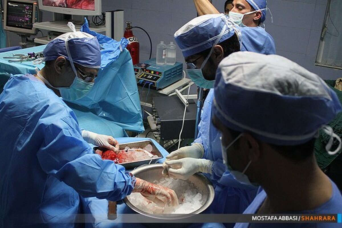 اهدای عضو جوان مرگ مغزی در مشهد به ۸ بیمار زندگی بخشید (۲۷ آبان ماه ۱۴۰۲)