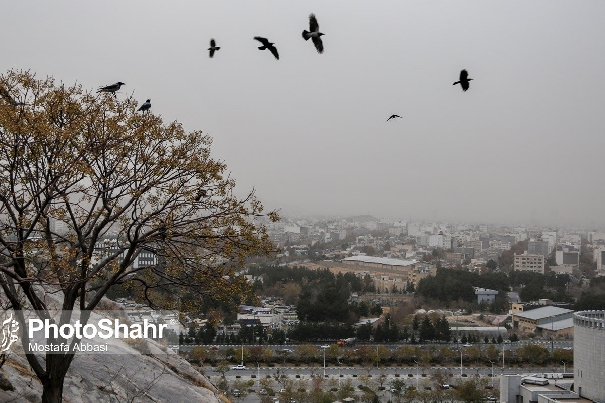 شرایط ناسالم هوا در مشهد تا پایان هفته جاری ادامه دارد (۲۸ آبان ۱۴۰۲)