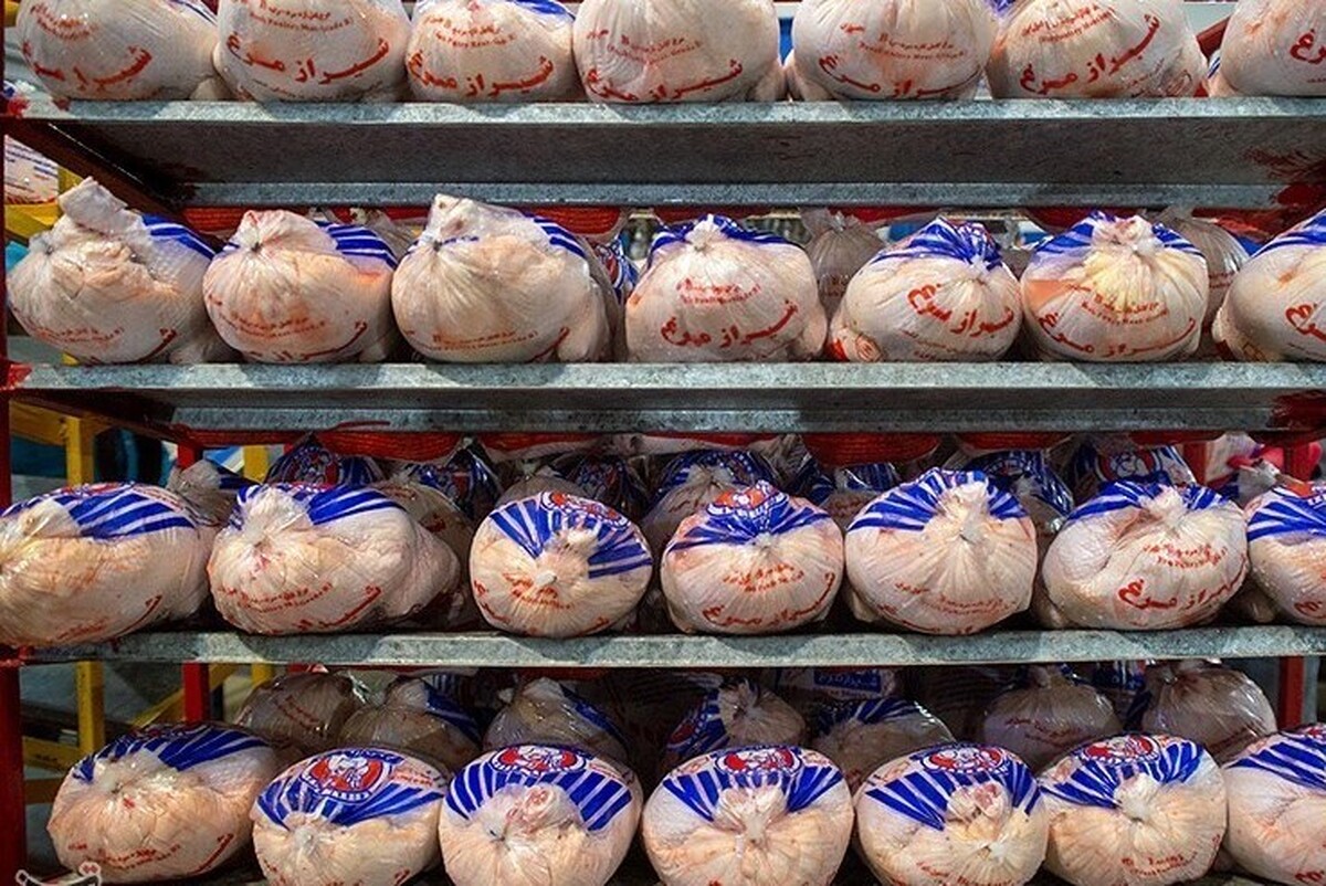 قیمت مرغ گوشتی در بازار امروز مشهد (۲۸ آبان ۱۴۰۲)