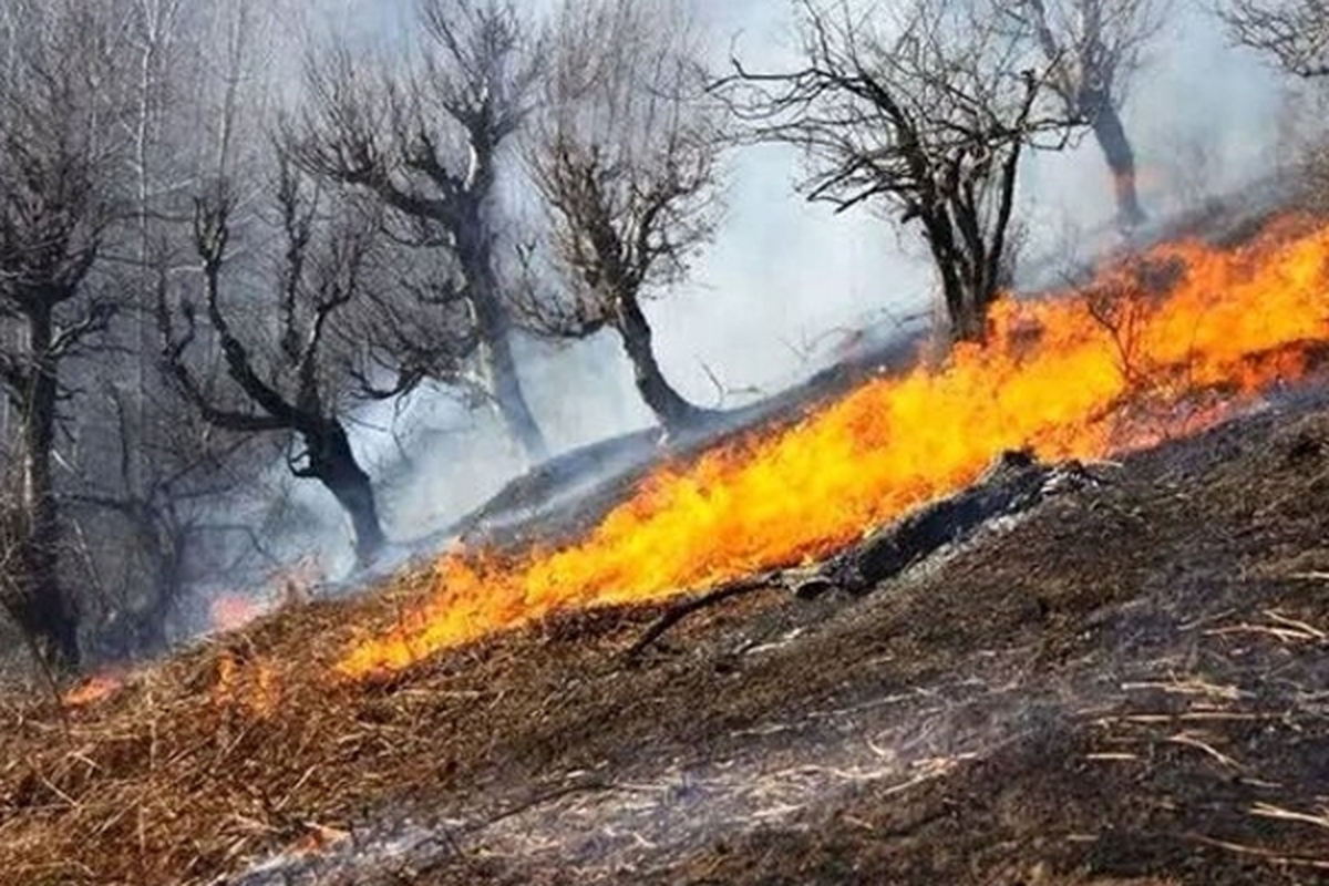 آتش‌سوزی جنگل‌های دو هزار تنکابن مهار شد | بیش از ۲ هزار متر مربع در آتش سوخت