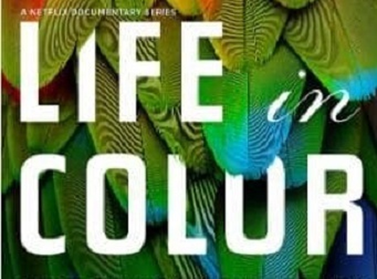 مستند «زندگی در رنگ» دیوید آتنبرو روی آنتن شبکه پنج + زمان پخش