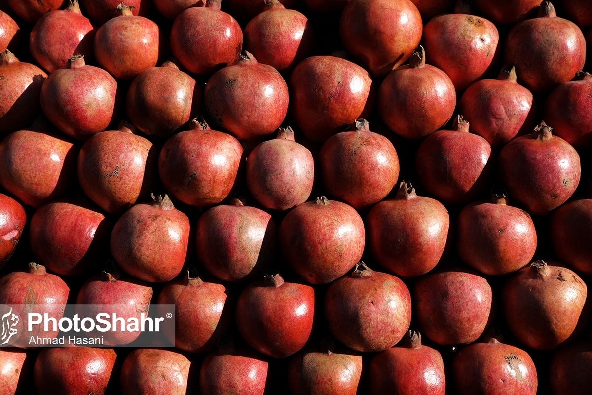 آغاز نظارت‌ها بر بازار شب یلدا در مشهد از امروز  (۱۱ آذر ۱۴۰۲) + نرخ میوه