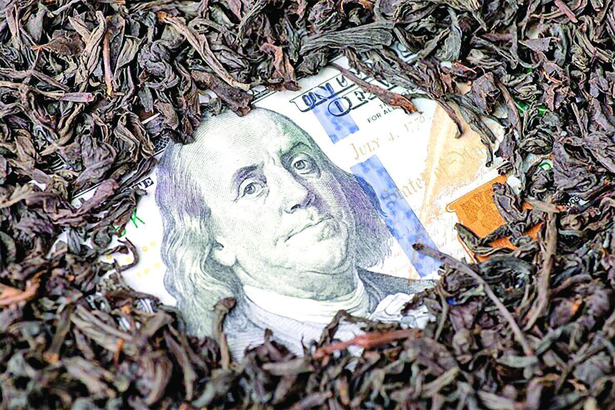 بررسی جزئیات فساد ۳ میلیارد دلاری | چای با طعمی تلخ‌تر از زهر