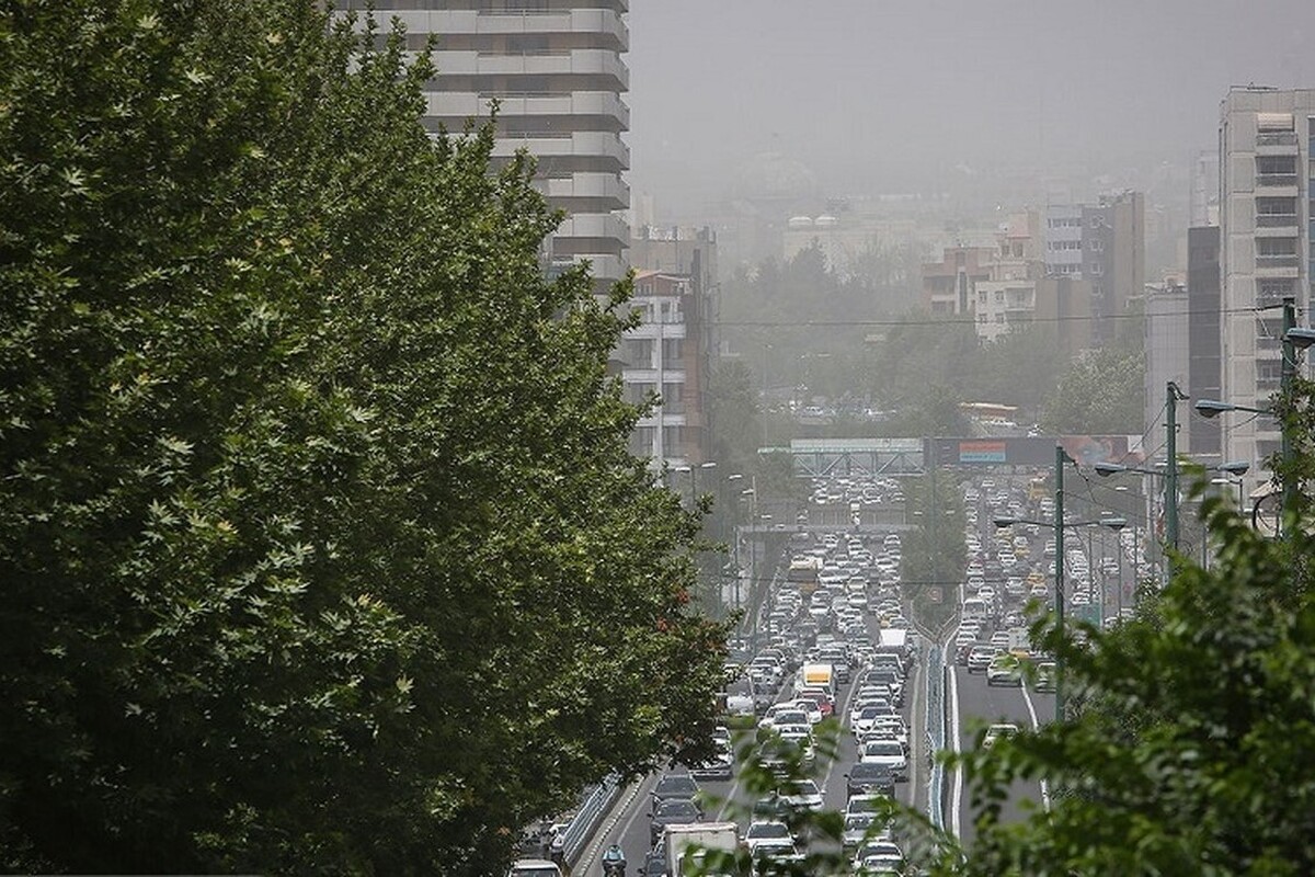 ویدئو| تاثیرات وحشتناک آلودگی هوا بر بدن