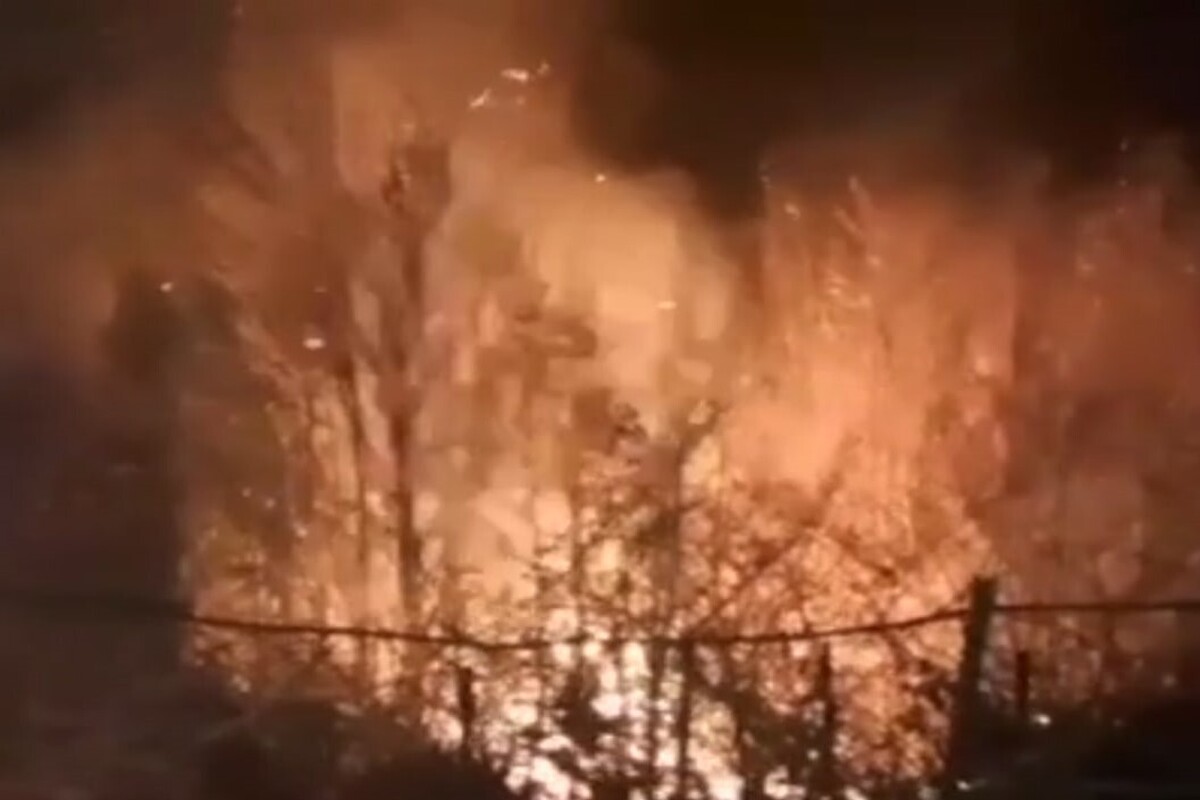 آتش‌سوزی ۱۵ هکتار از جنگل‌های آغوزبن رودبار + فیلم (۱۴ آذر ۱۴۰۲)