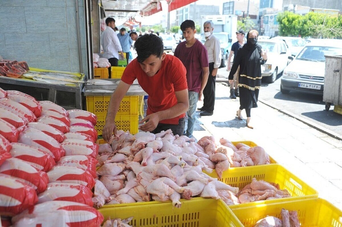 بازار مرغ در مشهد به آرامش رسید| فروش مرغ بیشتر از نرخ مصوب ۸۵هزارتومان تخلف است