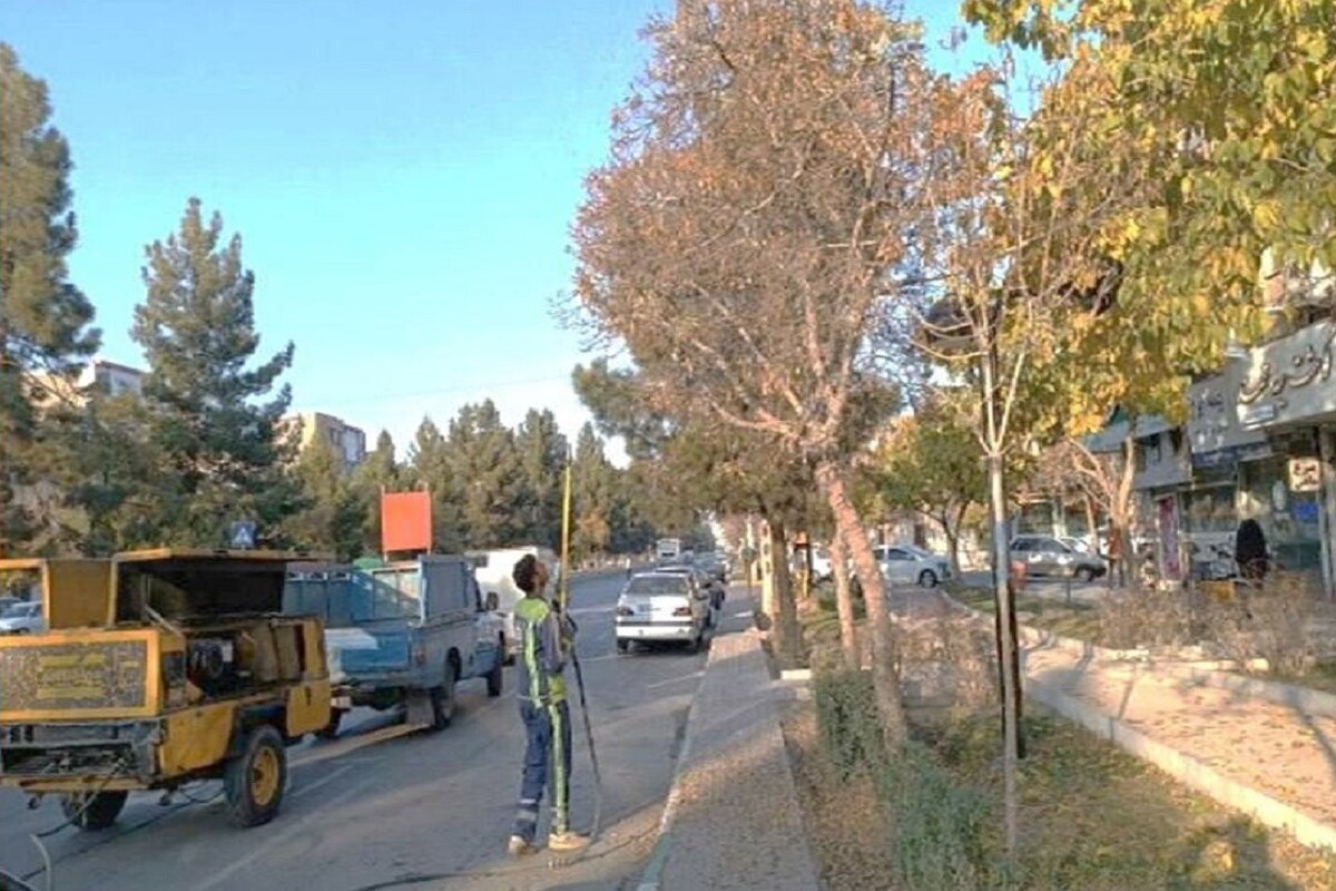 انجام عملیات بذرتکانی مکانیزه درختان در معابر اصلی سطح شهر مشهد