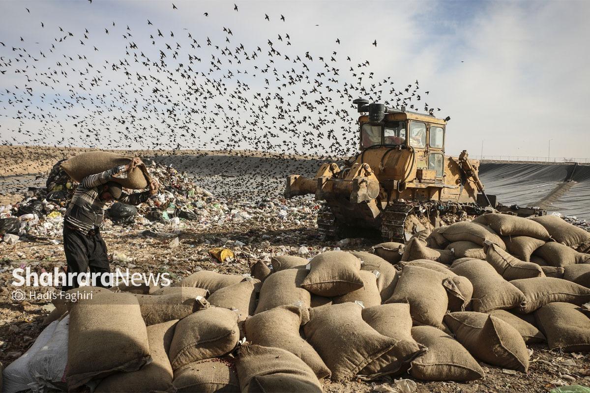 دفن بزرگترین محموله خوراکی فاسد در تاریخ مشهد | ۹۴ هزار کیلوگرم بادام‌ زمینی معدوم شد