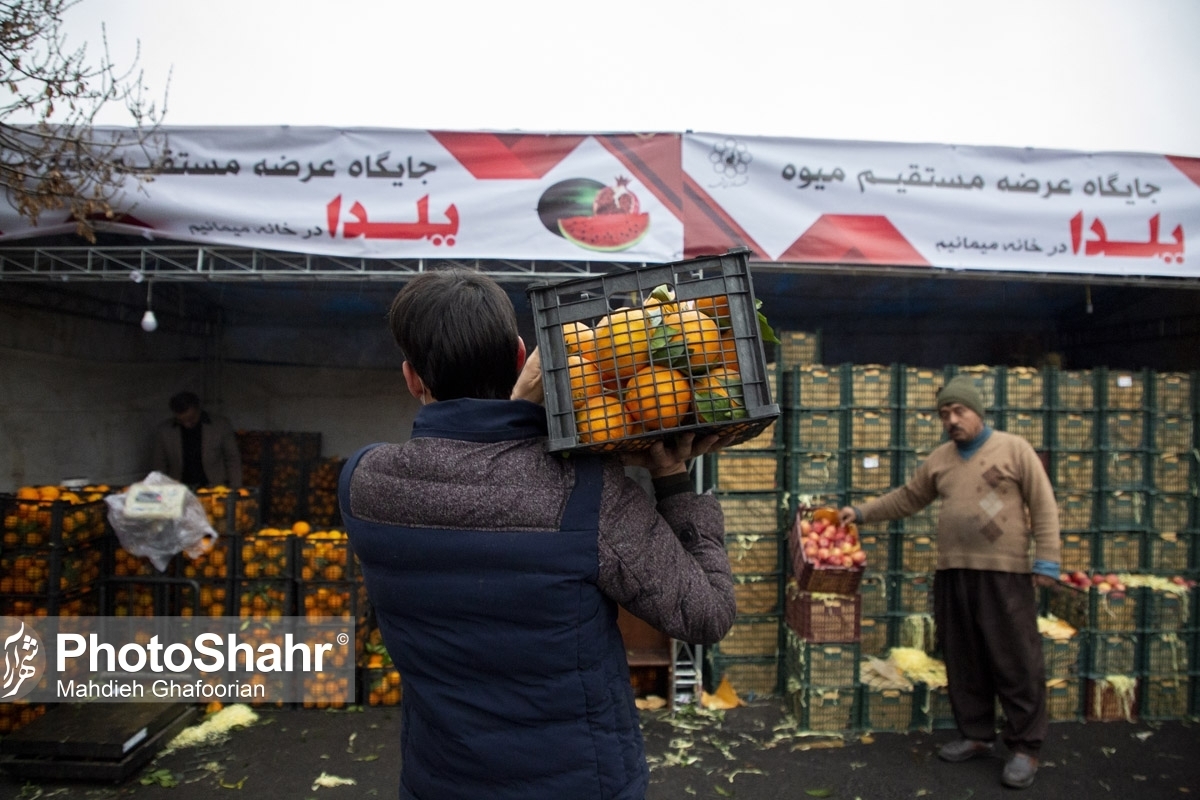 بازار سرد میوه مشهد در آستانه شب یلدا | آخرین نرخ میوه شب یلدا در بازار مشهد (۲۸ آذر ۱۴۰۲)