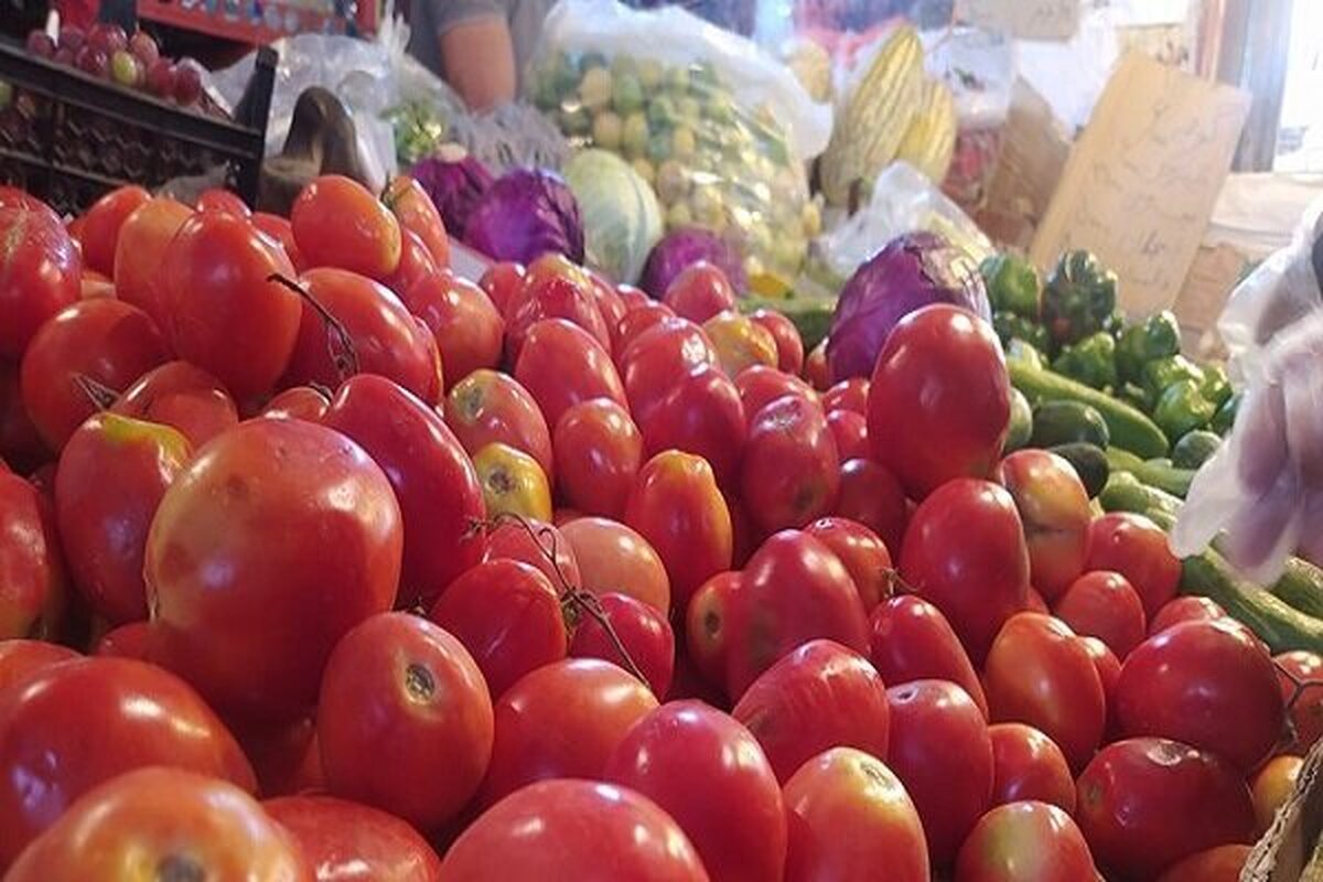 علت نوسان قیمت گوجه فرنگی چه بود؟