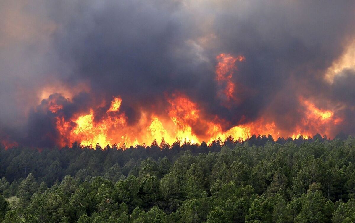 آتش سوزی بخشی از جنگل چالوس در منطقه نمک آبرود (۴ آذر ۱۴۰۲)