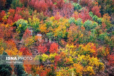 ایران زیباست | پاییز هزار رنگ در روستای «شیت»