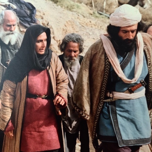 پخش سریال «سربداران» با بازی سوسن تسلیمی از تلویزیون!