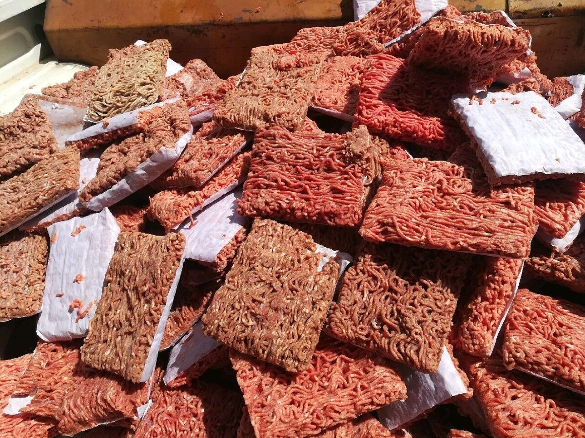 کشف ۲۷۵ کیلوگرم گوشت غیربهداشتی در مشهد (۱۵ فروردین ۱۴۰۳)