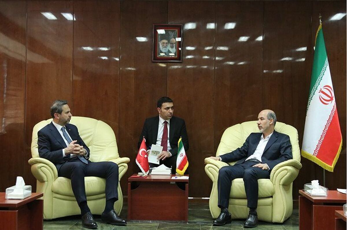 ایران و ترکیه برای توسعه همکاری‌ها در حوزه برق اعلام آمادگی کردند