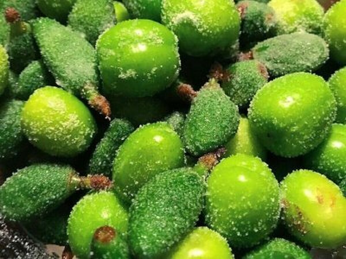قیمت فضایی میوه های نوبرانه در مشهد | هر کیلو چغاله بادام ممتاز ۹۰۰ هزار تومان