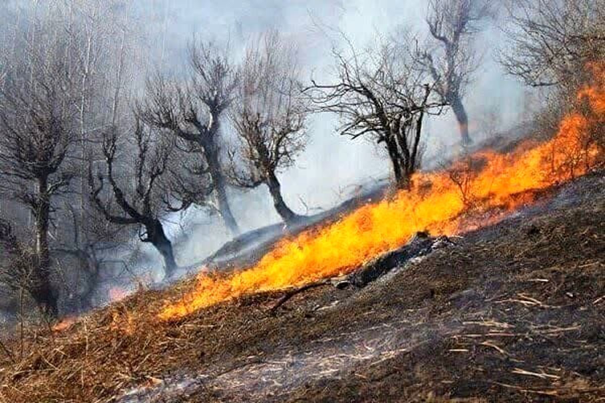 تکذیب ماجرای آتش‌سوزی در پارک ارم تهران