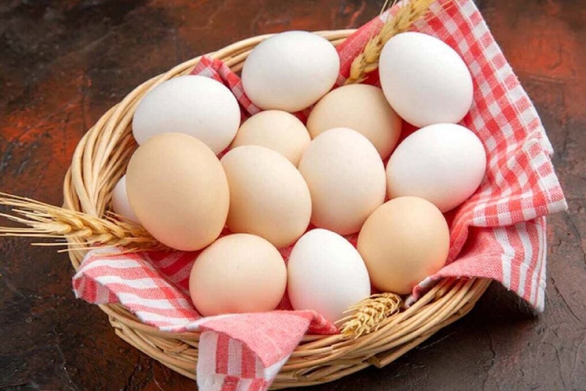 افزایش تولید تخم مرغ در خراسان رضوی طی سال گذشته