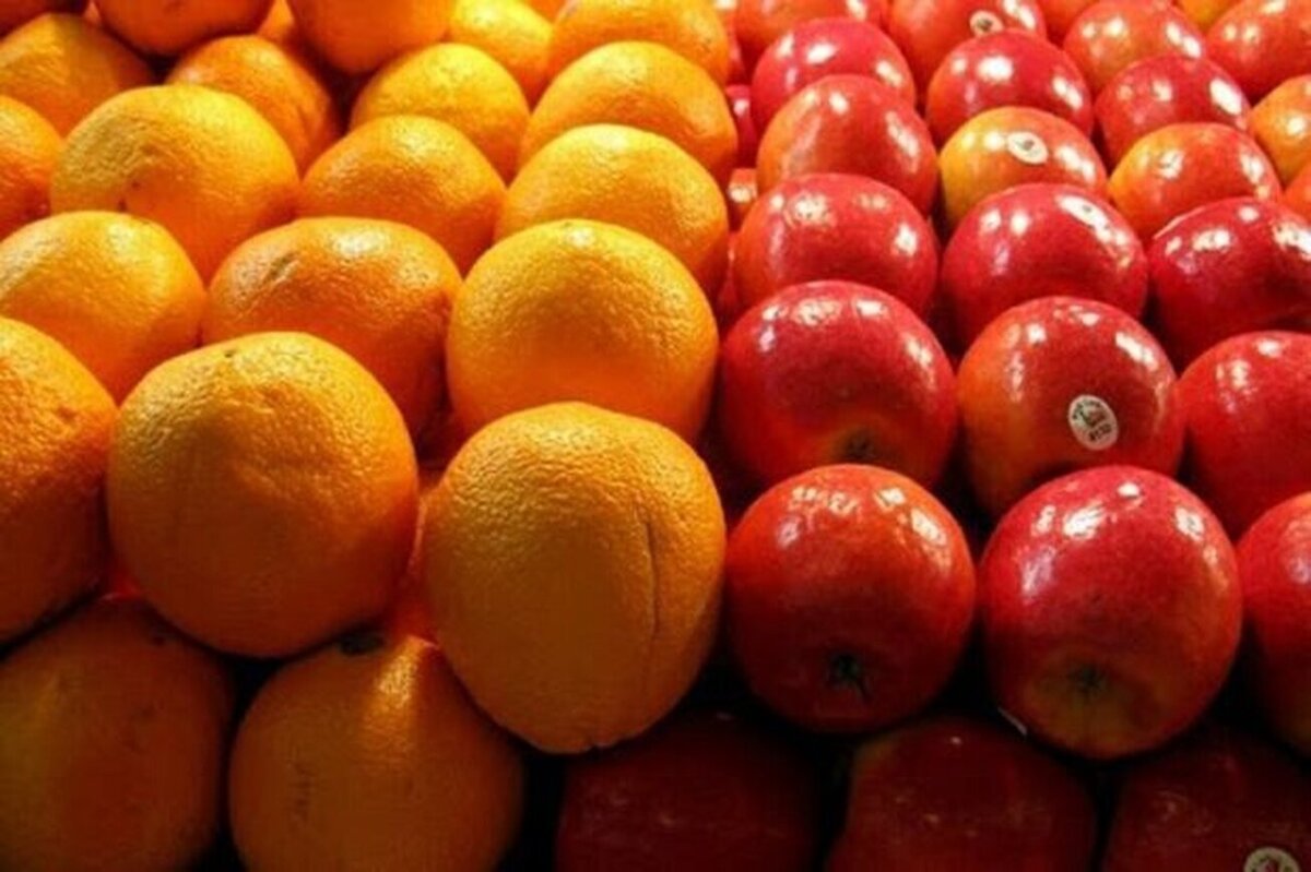لزوم صادرات سیب و پرتقال مازاد در راستای حمایت از تولید داخل