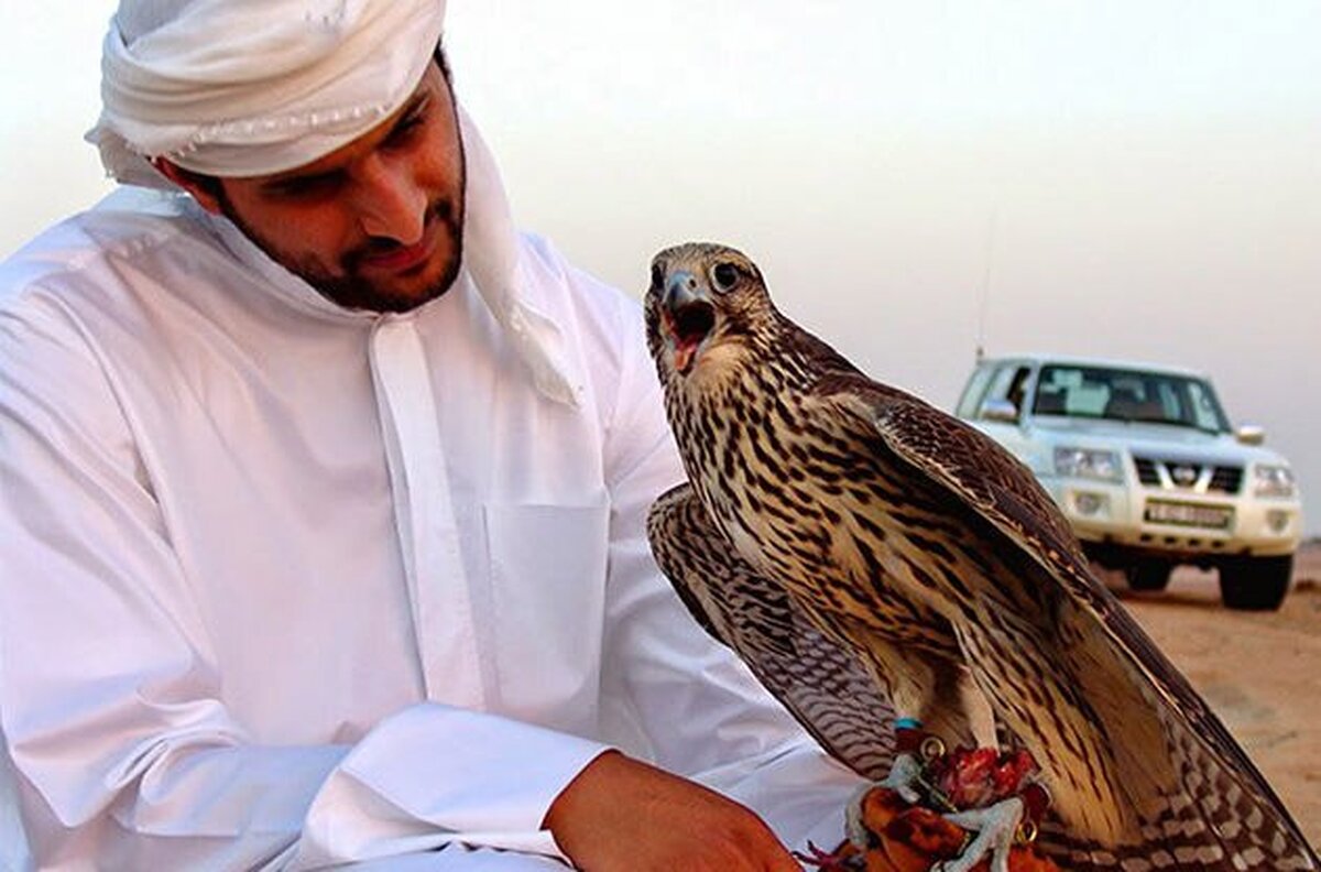 هشدار محیط زیست درباره قاچاق پرندگان به کشورهای حاشیه خلیج فارس