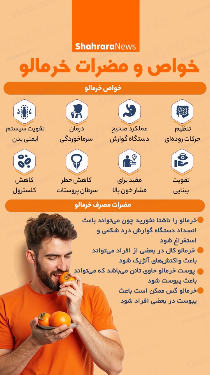 اینفوگرافی| خواص و مضرات خرمالو