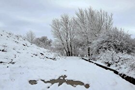 ویدئو|  قابی زیبا از ارتفاعات سوادکوه